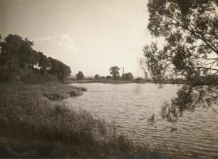 Zschopautal : Mittelsächsisches Hügelland. Der Schilfteich (alter Zschopaulauf unterhalb von Frankenberg). Talauf vom Nordende gesehen
