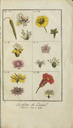 Illustration: Systême de Linnée. Classe VII a XII.