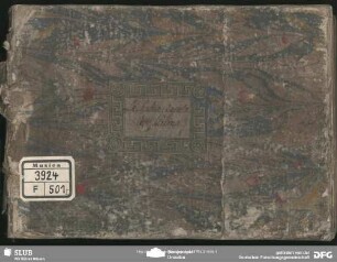 La Secchia rapita - Mus.3924-F-501