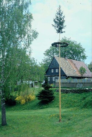 Maibaum und Haus