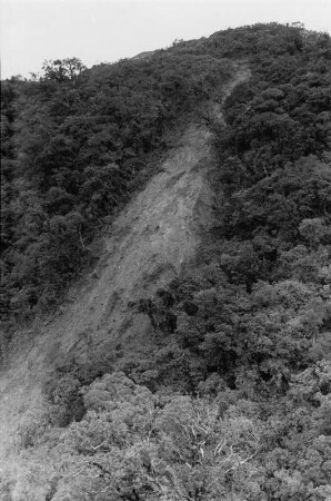 Erdrutsch im Regenwald : Blick auf einen Erdrutsch
