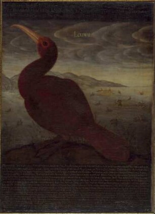 Ein Kormoran