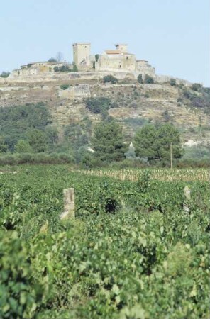 Castillo de Monterrey