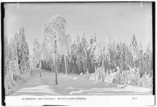 Altenberg. Rehefelder Straße