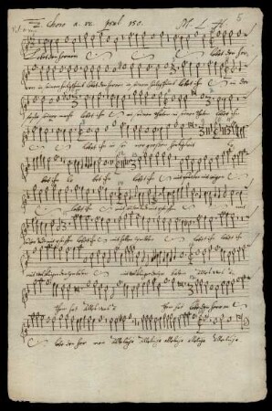 2. Choro Viole