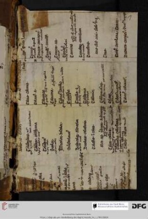 aus einem lat. grammatisch-lexikalischen Glossar (13. Jh.) in derivatorischer Anordnung