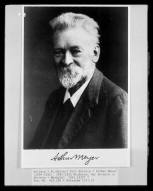 Arthur Meyer (1850-1922), 1891-1922 Professor der Botanik in Marburg