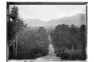Gasthaus in Thailand : Nordthailand. Blick vom Gasthaus im Dschungel auf den Zufahrtsweg, 1908/1909