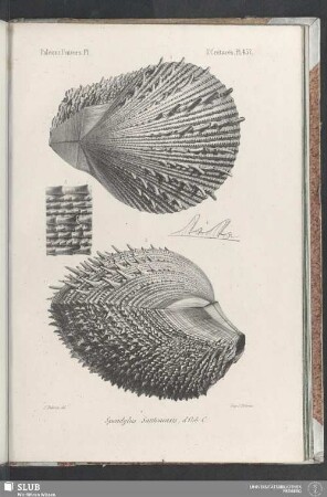 Pl. 457