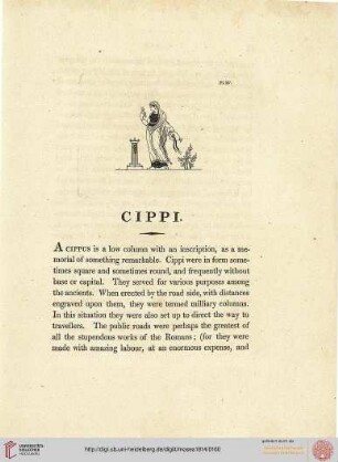 Cippi