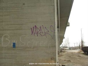 MAReK