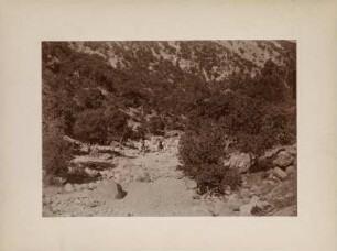 Bewaldetes Tal : Bewaldetes Tal im "Puschti-Kuh" mit zwei Reitern in einem ausgetrockneten Flussbett.