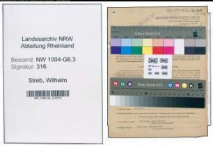 Entnazifizierung Wilhelm Streb , geb. 28.04.1894 (Chemiker)