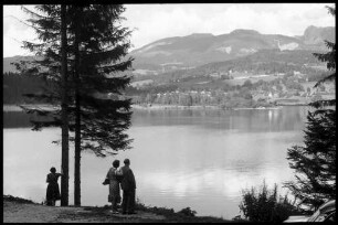 Gosaumühle: Hallstätter See