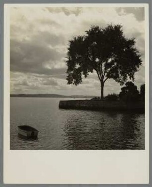 Piermont, Rockland County, Bäume am Hudson