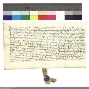 Revers Wolfs von Sternberg zu Kallenberg bezüglich der Belehnung mit zwei Vorwerken in Milz und weiteren im Einzelnen aufgeführten Lehen durch Philipp [Schenck zu Schweinsberg], Abt von Fulda