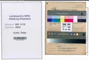 Entnazifizierung Peter Kurth , geb. 04.02.1910 ()