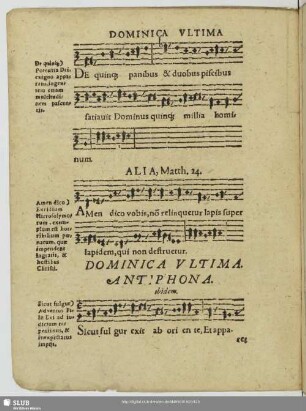 Dominica ultima post trinitatis
