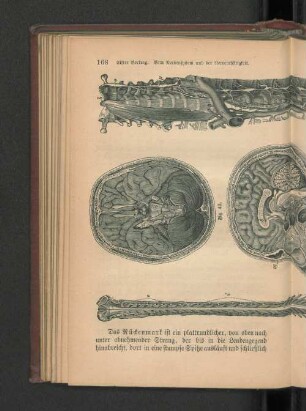 Fig. 42- 46.