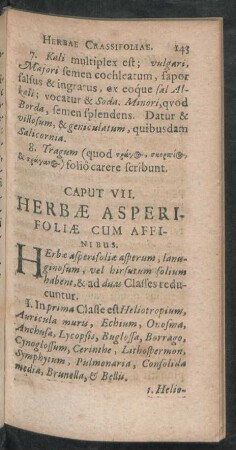 Caput VII. Herbae Asperifoliae Cum Affinibus.