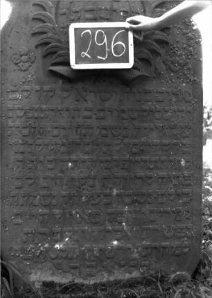 Grabstein 296 (Index: 100103145) Material: Sandstein Zustand: größtenteils gut erhalten, in Bodennähe beginnende Verwitterung Maße HxBxT: 158x86x13 cm Beschreibung: Stele, Konvexbogenabschluss mit Verdachung, unter dem Bogen plastische Palmzweige und Blüten, an den Seiten Einzüge, Schrift erhaben Symbolik: Plamwedel, Blüten Besonderheit: kulturhistorisch wertvoll / hist.-wiss. Gründe (Vorstehergattin, heilige Gesellschaft): Grabstein 296 (Detailaufnahme 1)