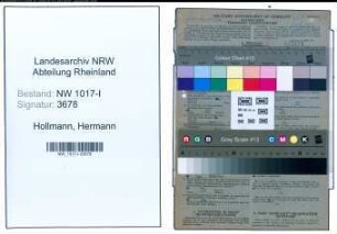 Entnazifizierung Hermann Hollmann , geb. 28.09.1879 (Vorstandsmitglied)