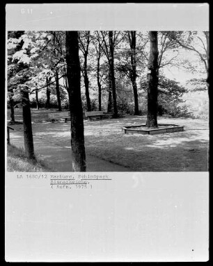 Schlosspark, Bismarckeiche