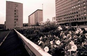 Hamburg: Hochhausring, Hochhäuser, Vordergrund Garagenlüftung mit Blumen