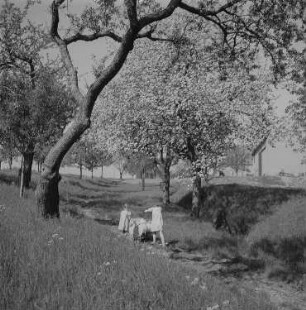 Dresden-Gorbitz. Zwei Mädchen mit Kinderwagen (Neubauernkinder?)