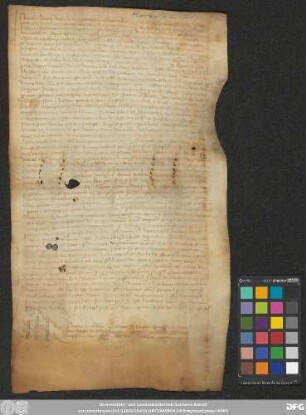 [Halle (Saale), Universitäts- und Landesbibliothek Sachsen-Anhalt, Morbio 23 (58)]