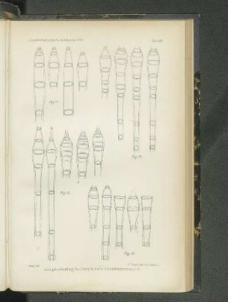 Tafel VIII. Fig. 12 - Fig. 15.