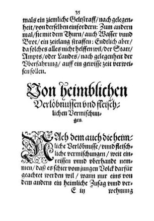 Von heimblichen Verlöbnussen und fleischlichen Vermischungen.