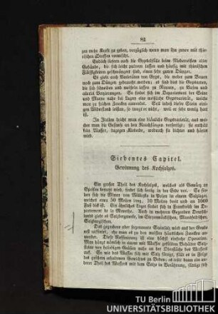 Siebentes Kapitel. Gewinnung des Kochsalzes.
