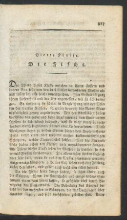 Vierte Klasse. Die Fische.