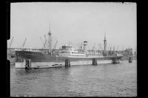Amasis (1923), Kosmos, Hapag