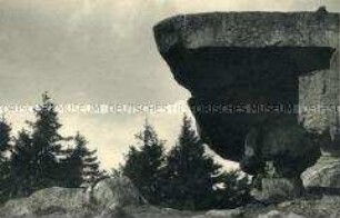 Vogesen, Gipfelplatte des Donon