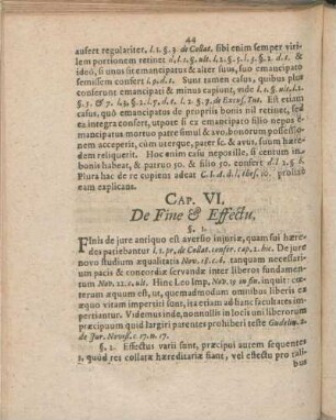 Cap. VI. De Fine & Effectu.