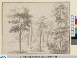 Landschaft mit Palmen und Zypressen
