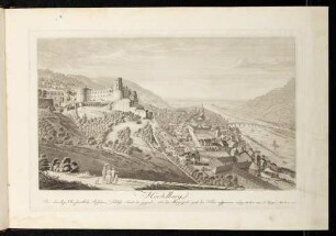 Heidelberg, Schloss und Stadt von Osten