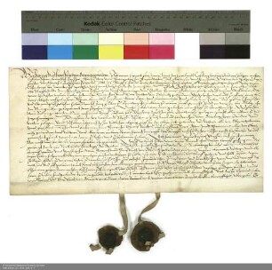 Revers der Brüder Heinrich und Hans Veit von Obernitz bezüglich der Belehnung mit Gütern in Breitensee und in Milz durch Balthasar [von Dernbach], Abt von Fulda