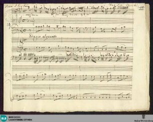 Siroe. Excerpts - Mus. Hs. 89 : S, vl (2), vla, b