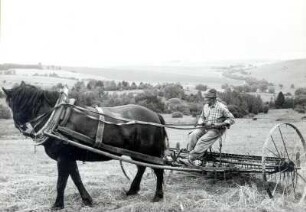 Feldarbeit mit einem Heuwender : Land- und Viehwirtschaft - Ernte und Einbringen der Ernte. Ort: Čěska / Tschechien. Heuwender