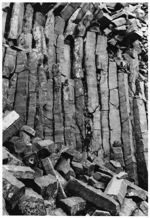 Basaltsäulen im Siebengebirge (Deutschland)