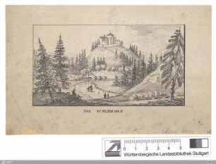 Die Waldburg