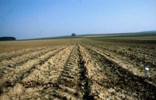 Fotografie: Getreide, Rodesaat, Säverfahren