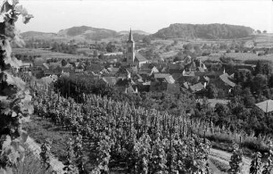 Oberrotweil: Blick von den Weinbergen auf Oberrotweil