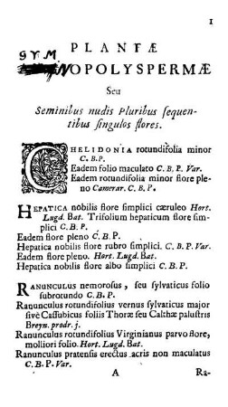Plantae