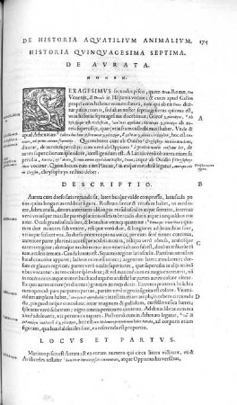 Historia Quinquagesima Septima. De Aurata