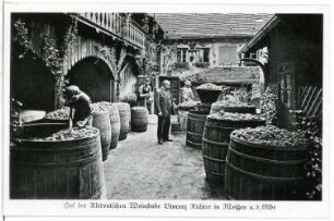 Meißen. Vincenz Richter,Weinlese