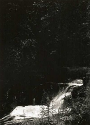 Waldbach im Osterzgebirge